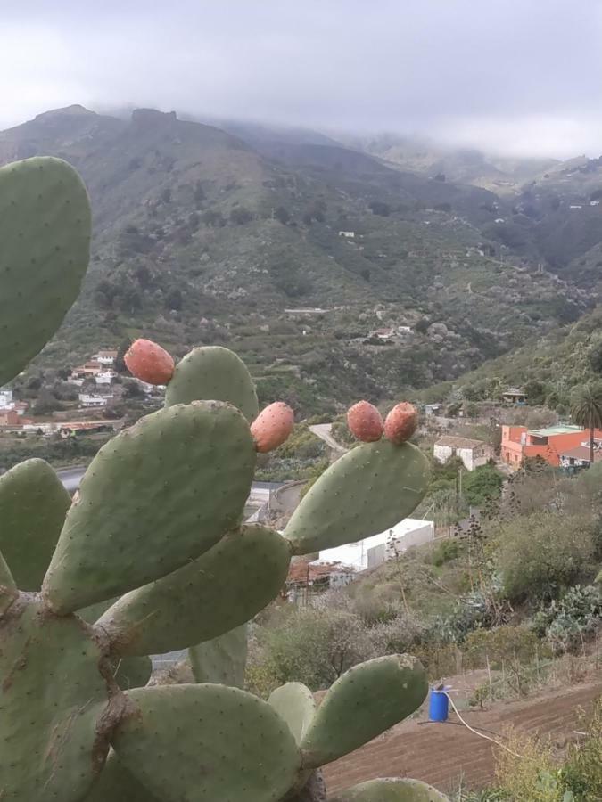 La Casa De Mario Appartement Valsequillo de Gran Canaria